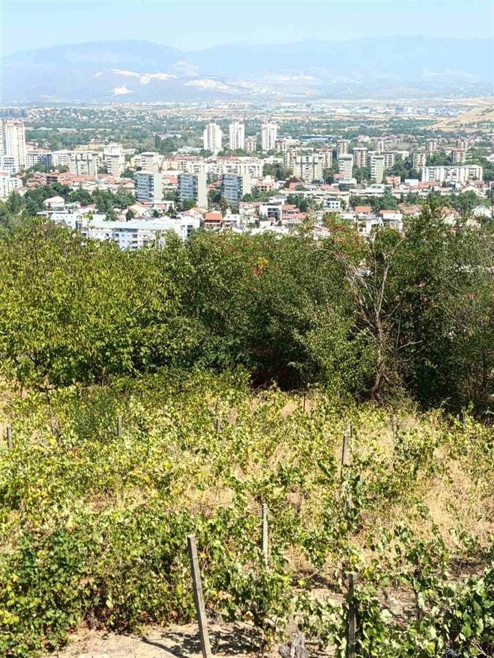 Куќа 4 соби Жданец 129м2 + двор 854м2