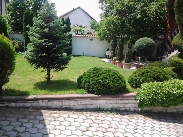 Наместена куќа во Dame Gruev 360m2 со плац 414m2