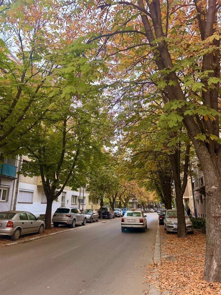 Луксузен стан од 52м² - 2 соби во Центар, Скопје