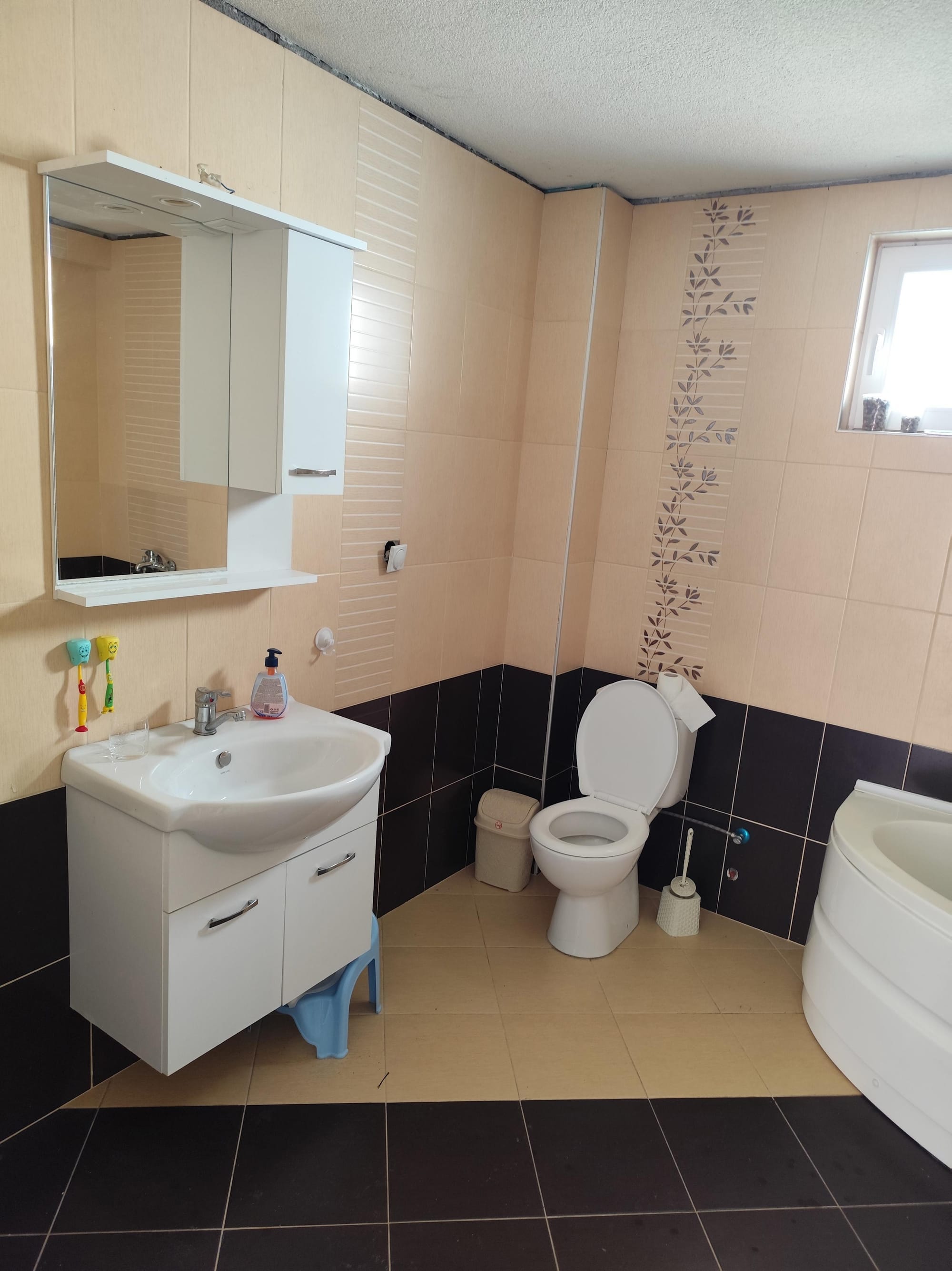 Куќа во Пинтија, 5 соби, 102м2 + плац 294м2