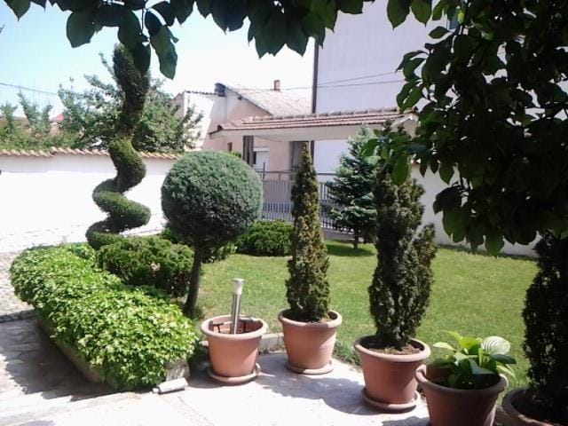 Наместена куќа во Dame Gruev 360m2 со плац 414m2