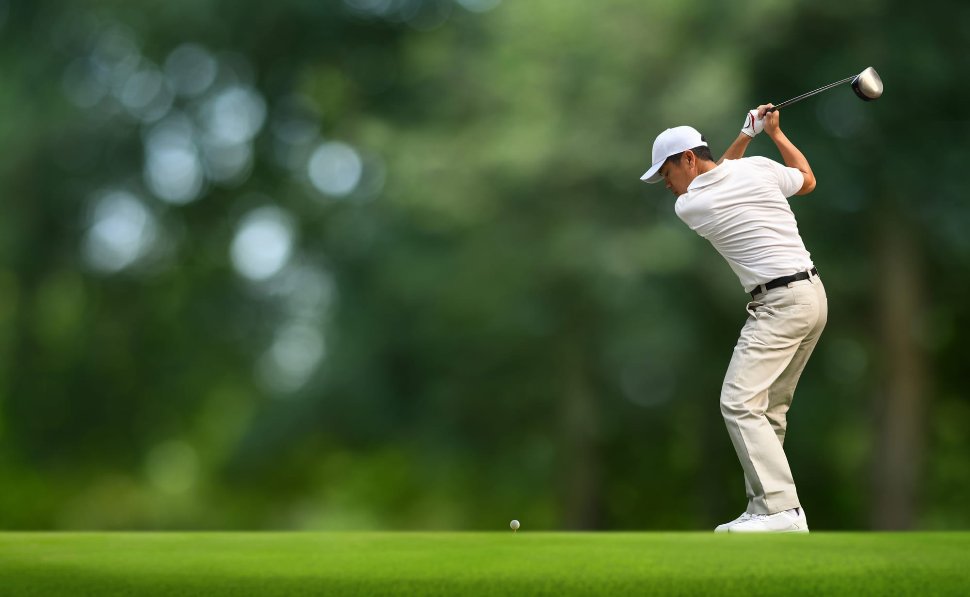 shutterstock_2446559499-4