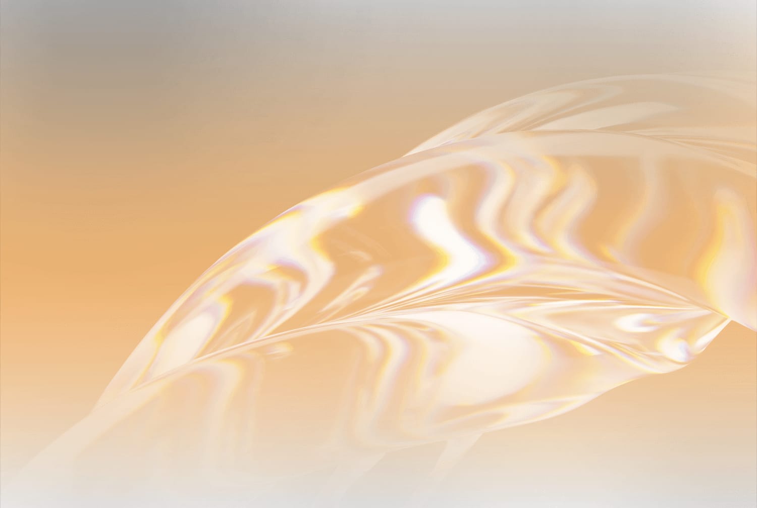 Branding & Design - Rast Agency