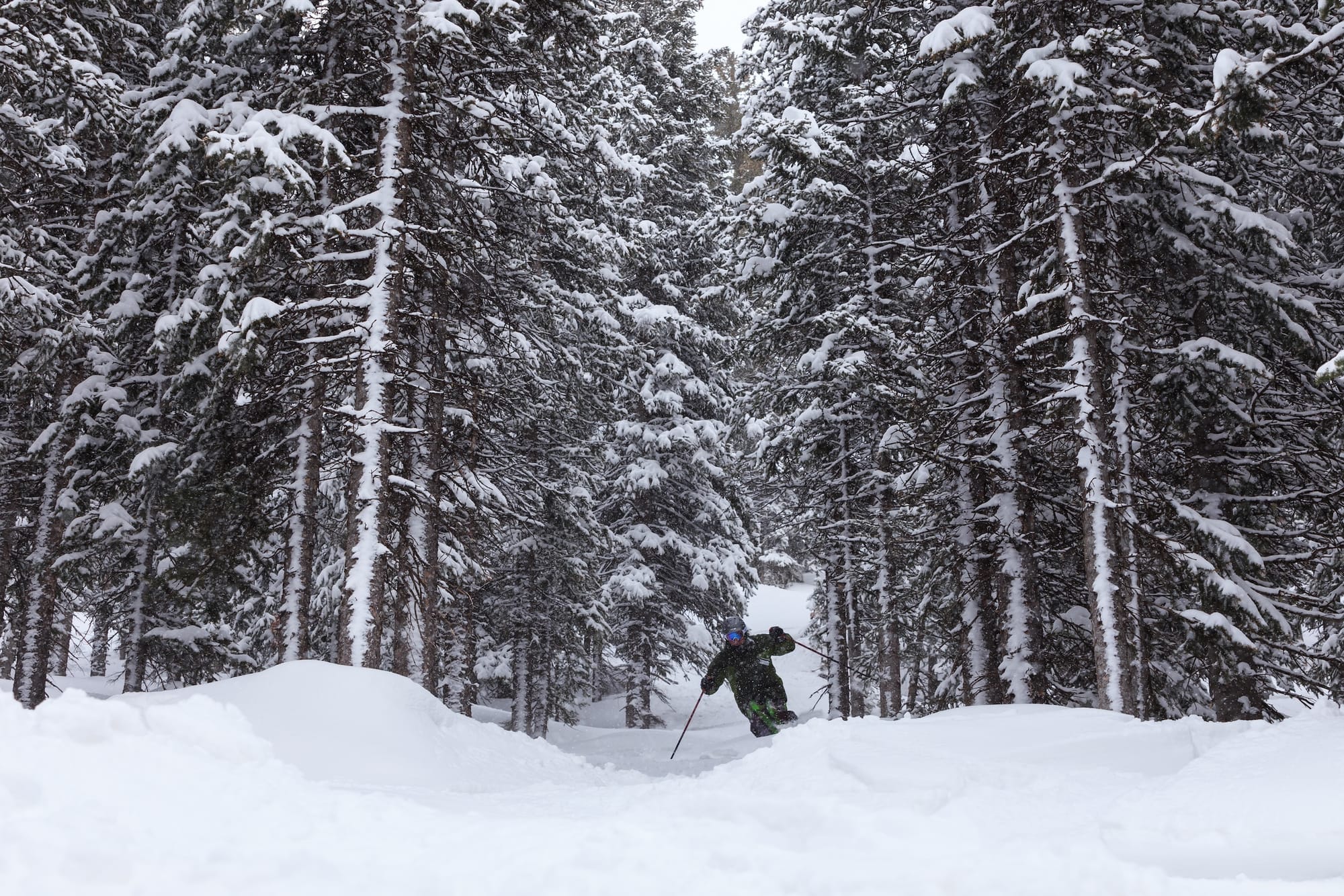 Grand Targhee Resort - Grand Teton Club
